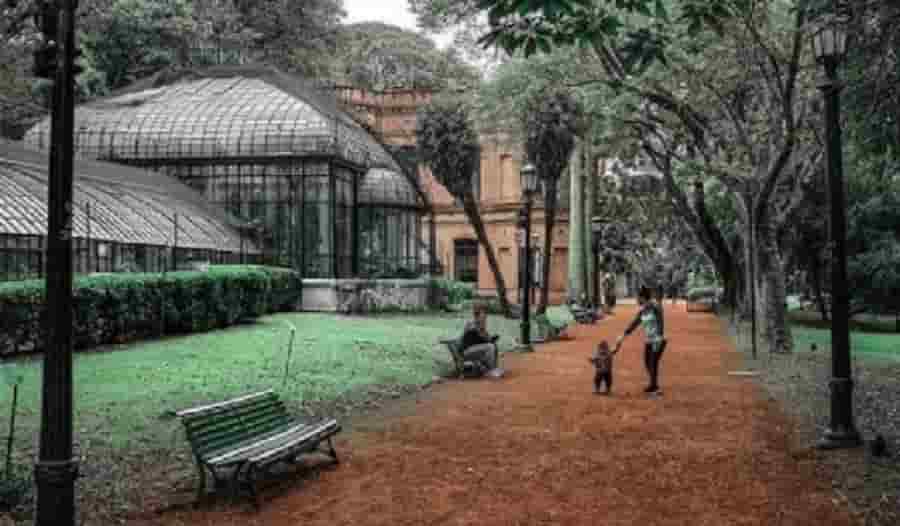 botanico 222 (1)