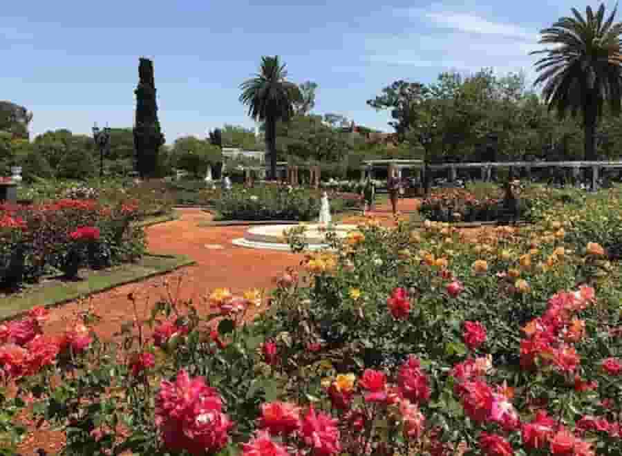 Rosedal