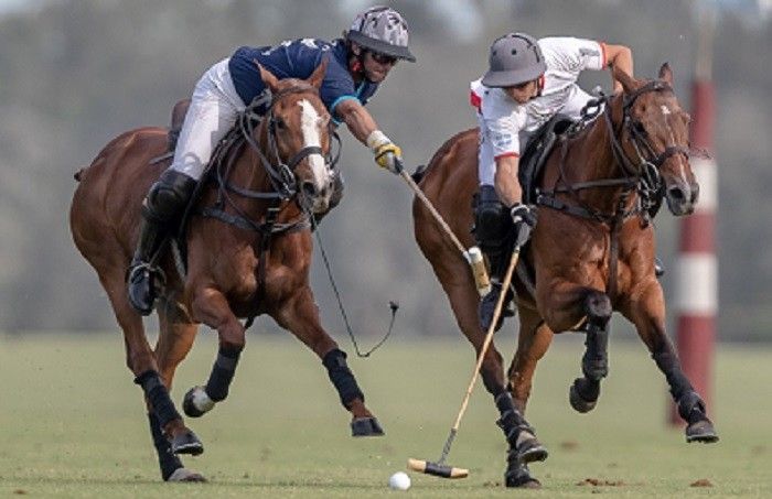 polo