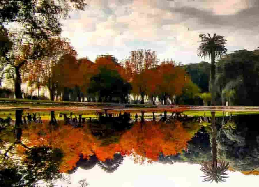 Lago Regatas