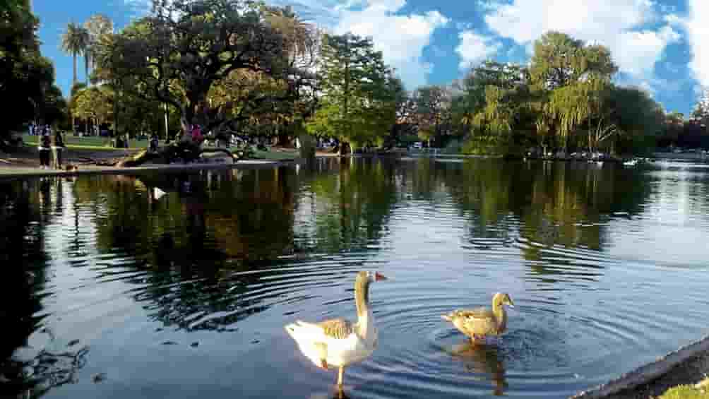 rosedal lago (1)