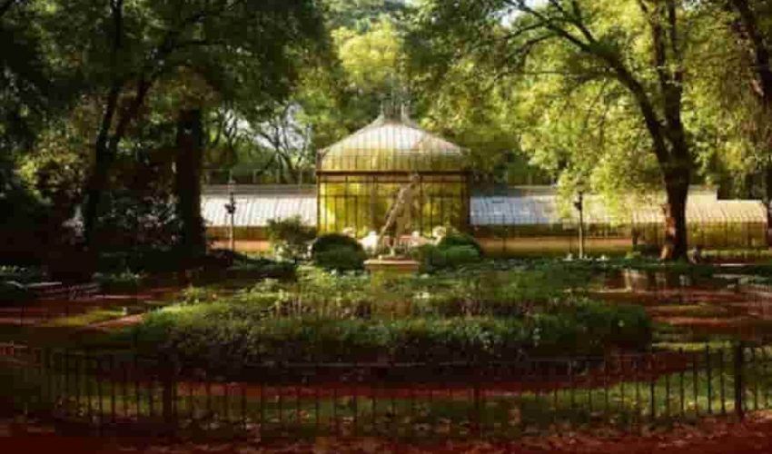 Botanico invernadero mayor