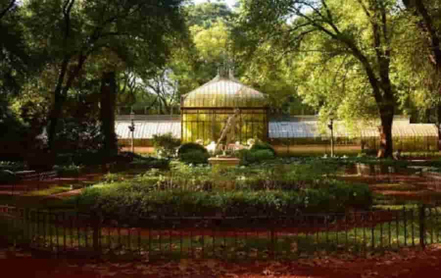 Botanico invernadero mayor