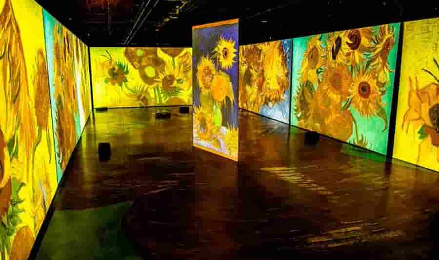 Imagine Van Gogh en la Rural
