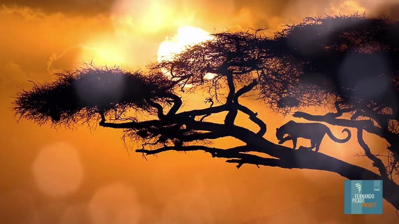 Video Thumbnail: Fernando Picado "Project" Jazz Fusion - Tio Joe