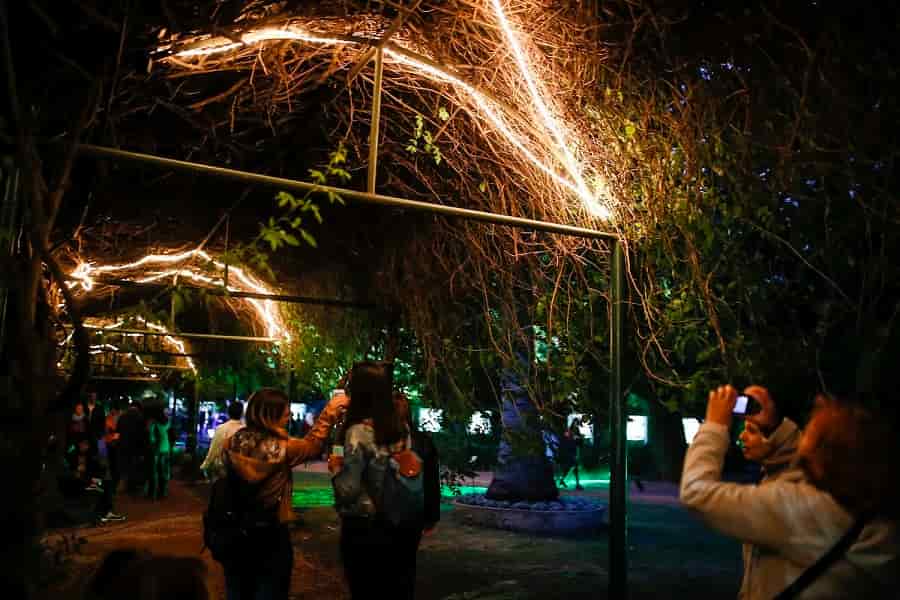 jardin botanico1