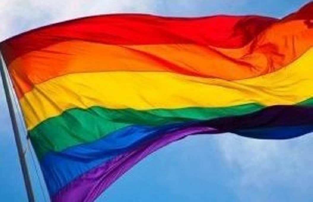 gay2 (1)