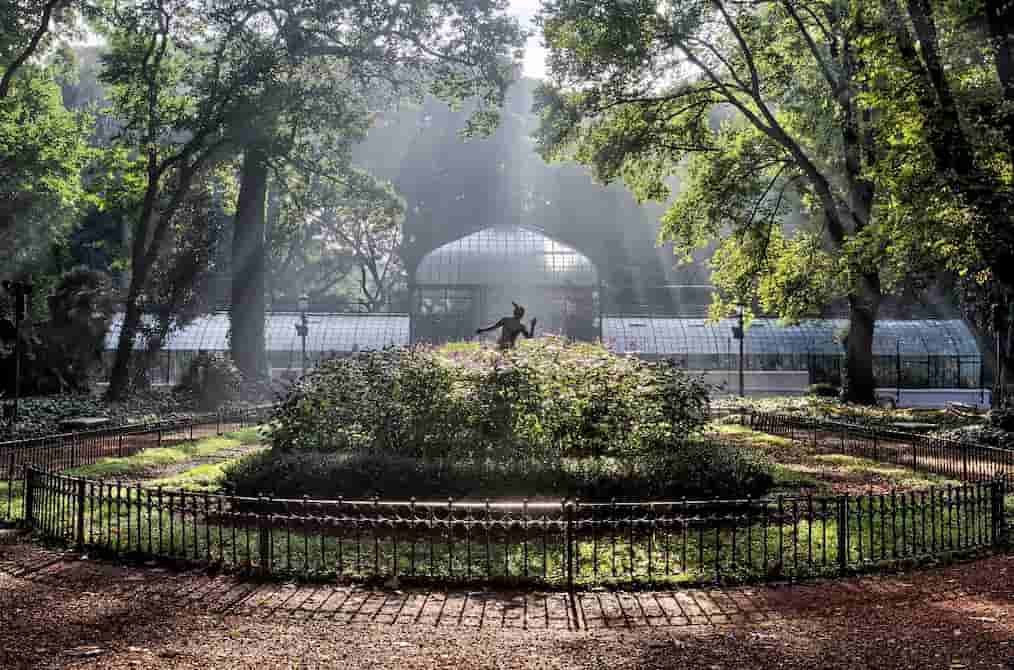 Jardin botanico