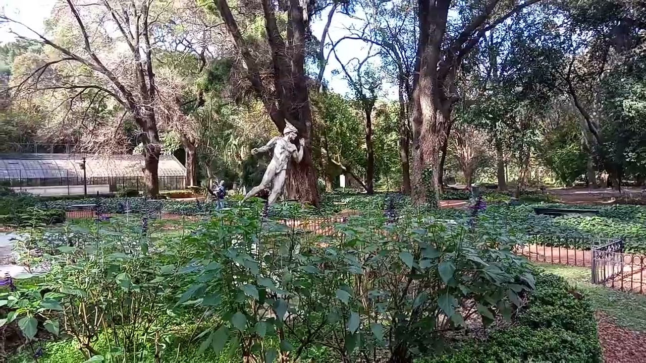 Miniatura del vídeo: Mercurio Jardín Botánico