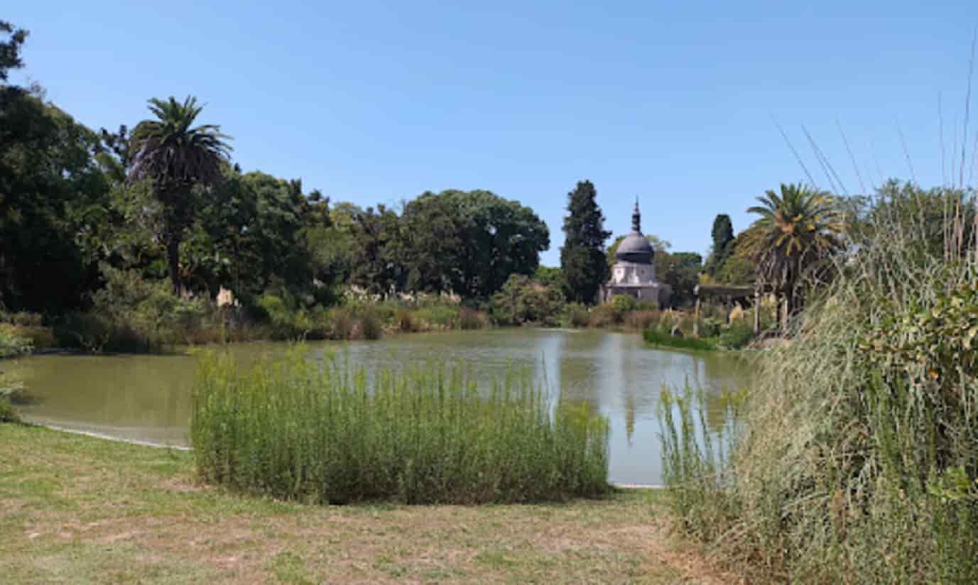 lago darwin1