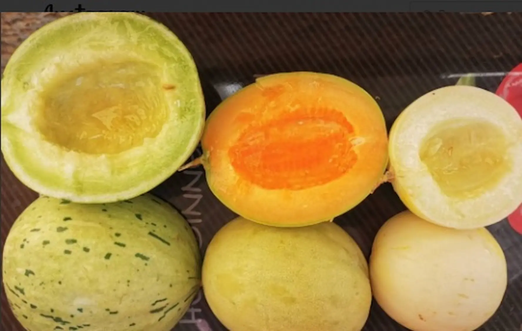 Melón12345678912345