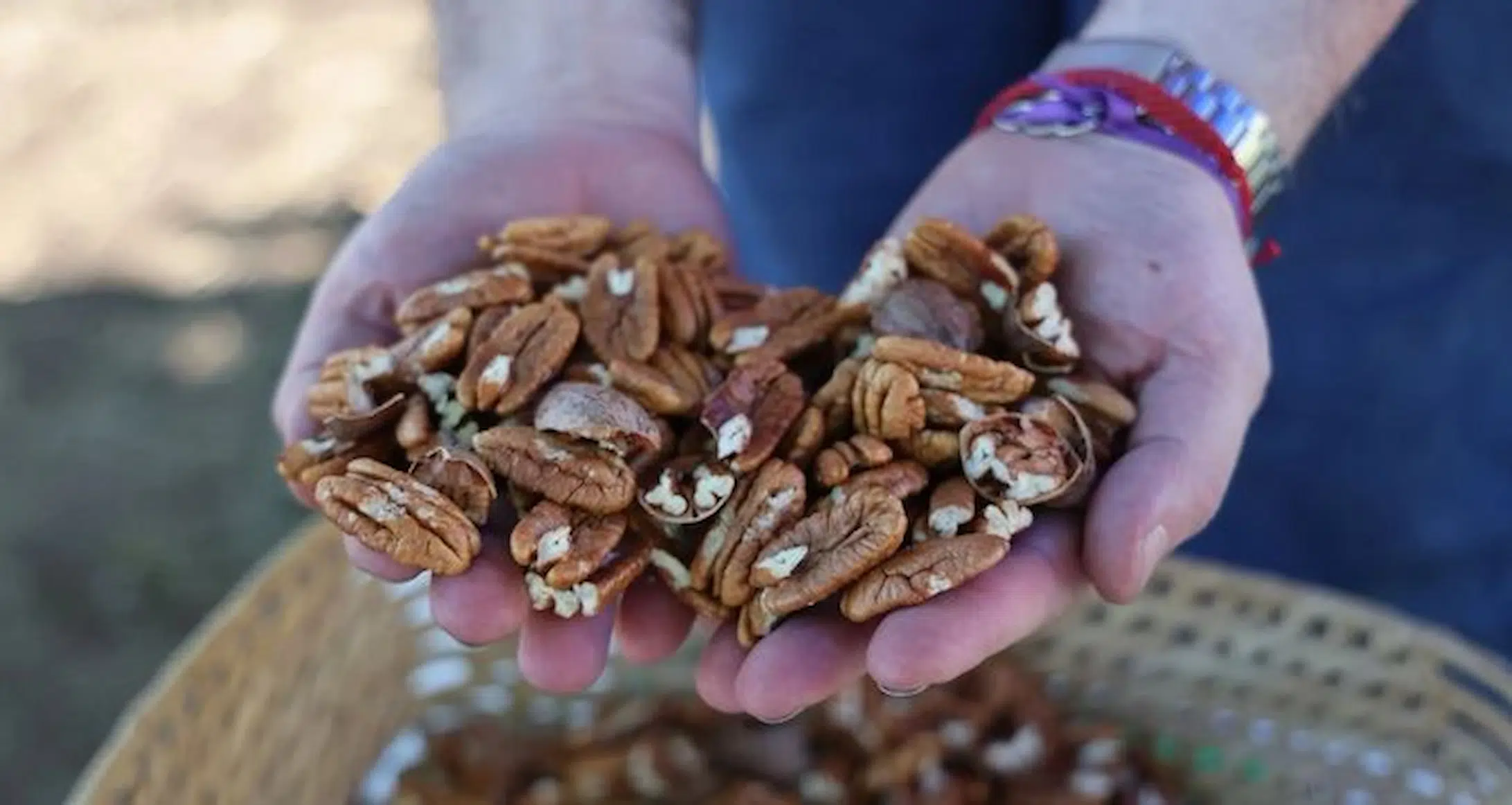 pecan nuez