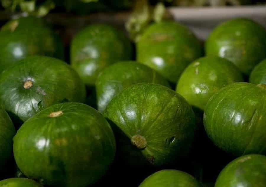 zapallitos-2 (1)