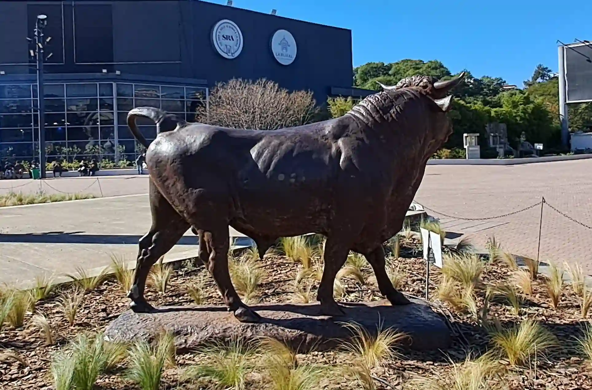 El toro de La Rural la escultura más fotografiada de Palermo