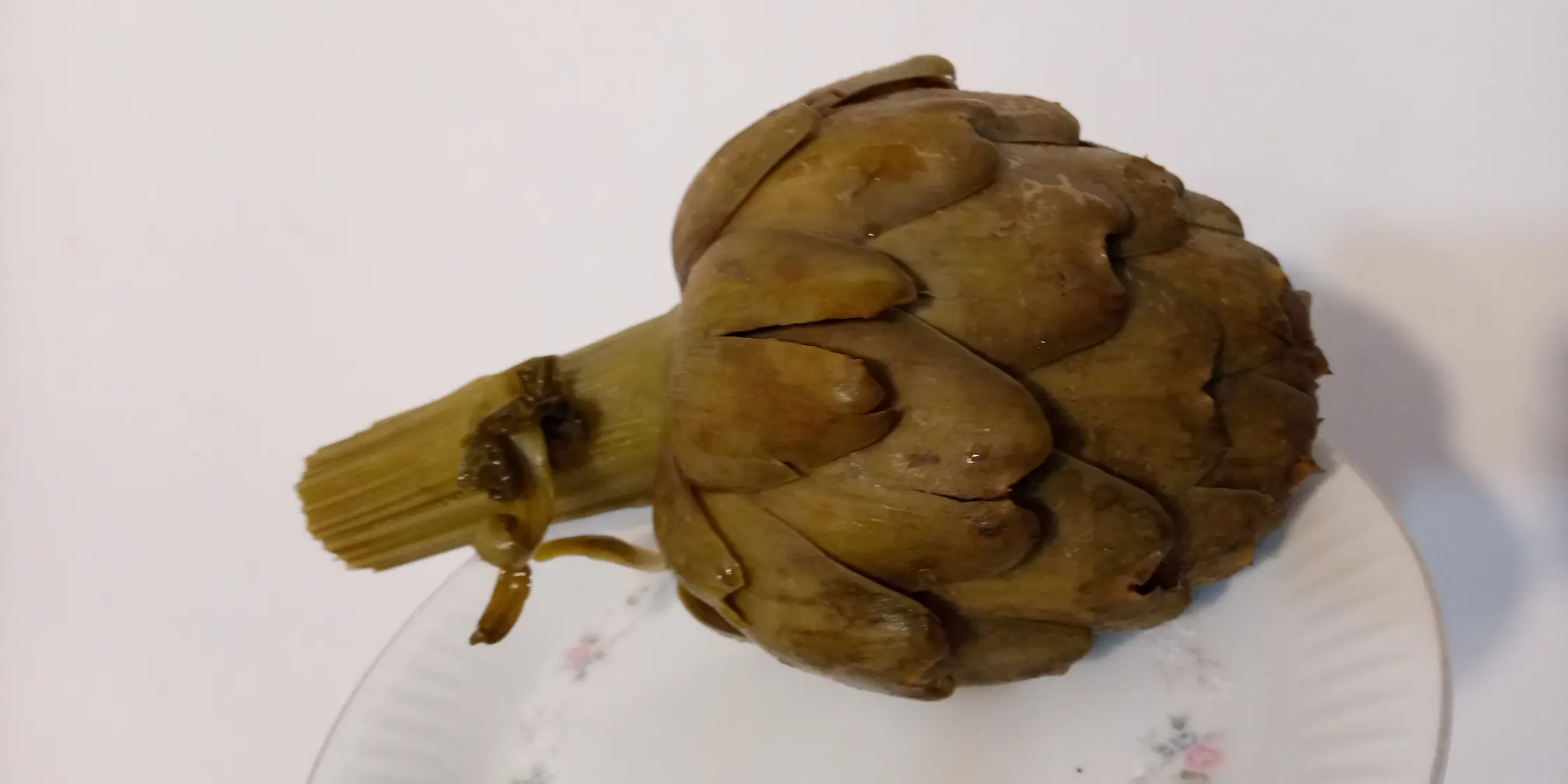 Alcaucil cocido la flor humilde