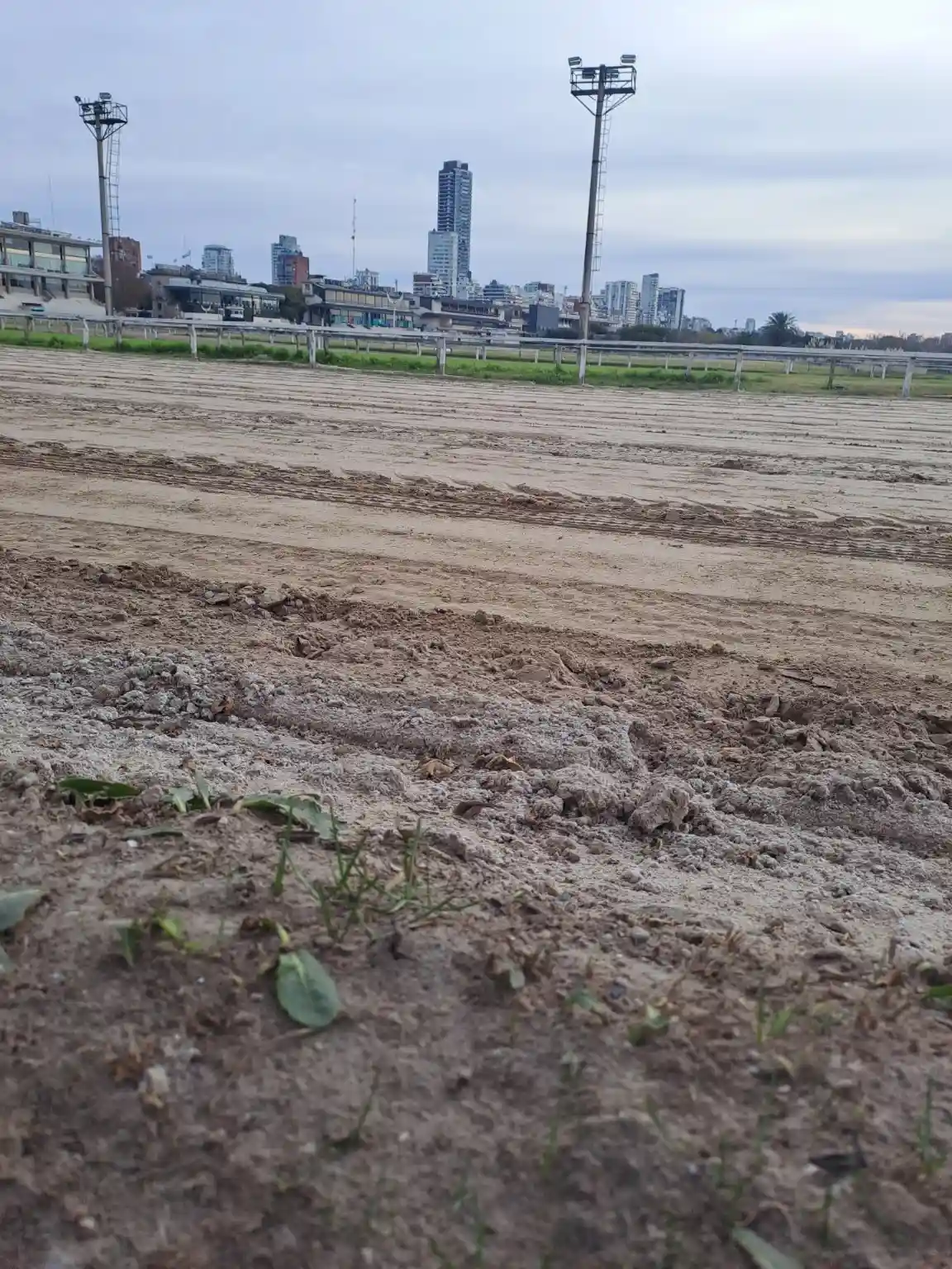 ¿De qué está hecha la pista del Hipódromo de Palermo y por qué es una de las mejores del mundo