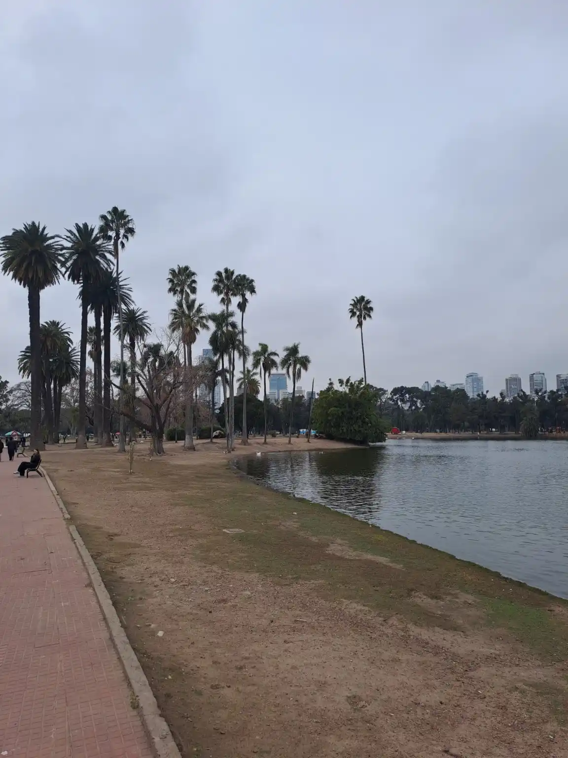 El lago del Rosedal la historia del espejo de agua que convirtió a Palermo en un clásico de Buenos Aires