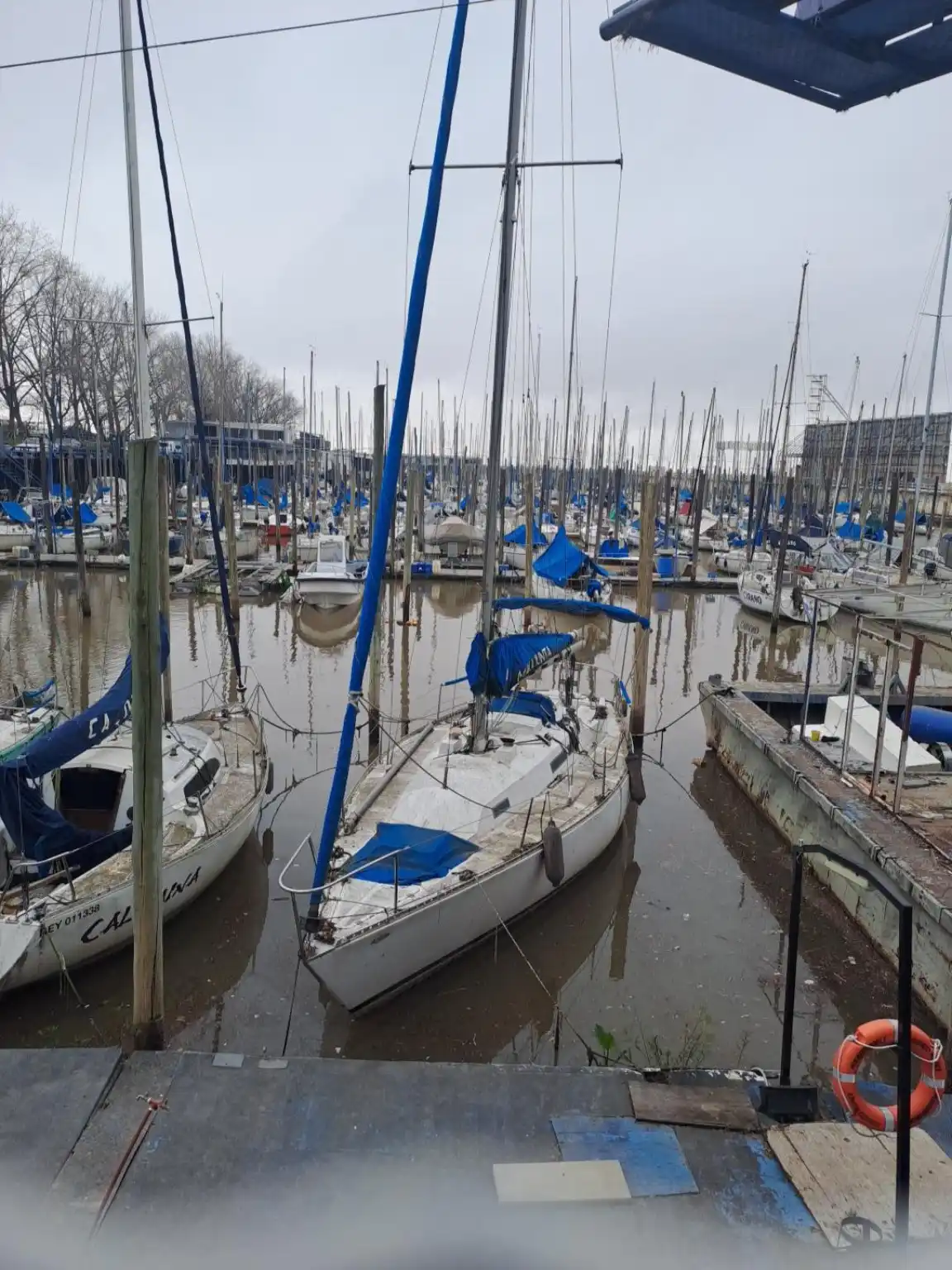 Puerto Norte el rincón de la Costanera donde Buenos Aires aprende a navegar