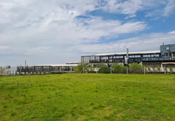 Malloy’s Costanera Punta Carrasco