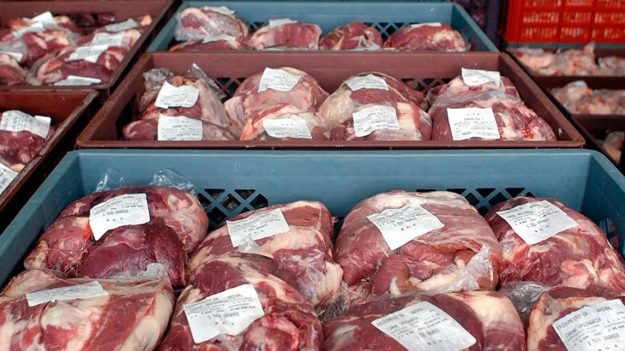 carnes