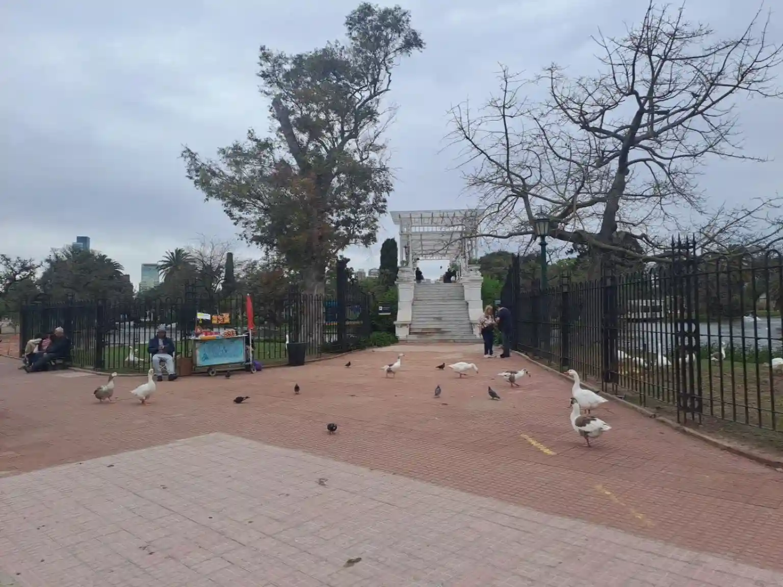 Puente blanco